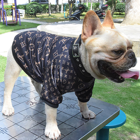 Chewie V Designer Dog Jumper