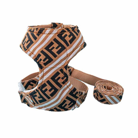 Fendi dog harness & lead