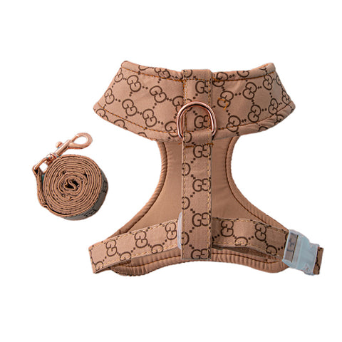 Gucci dog harness & lead set