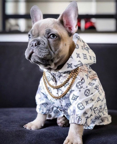 LV dog jacket pet-a-porter