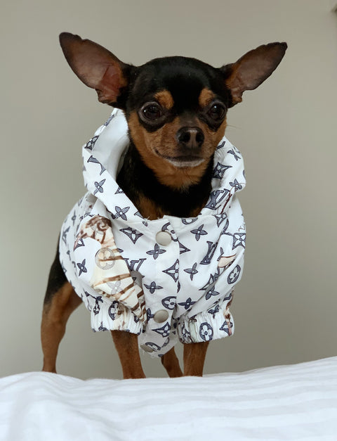 LV reflective dog jacket pet-a-porter