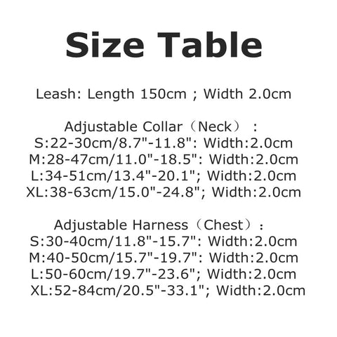 Pucci Harness Collar & Lead Set