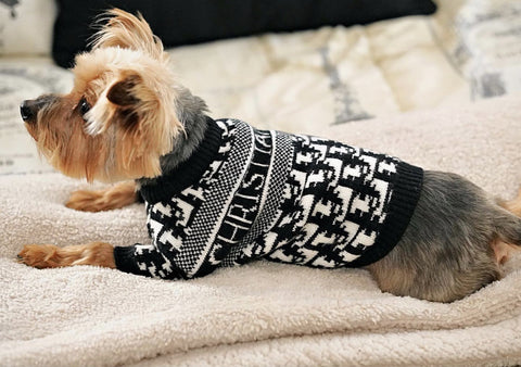 christian dior dog sweater