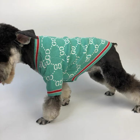 green gucci dog sweater