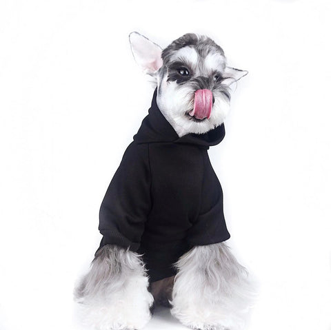 Paw Angels Hoodie