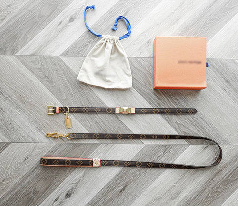 LV collar and lead