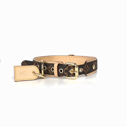 LV dog collar