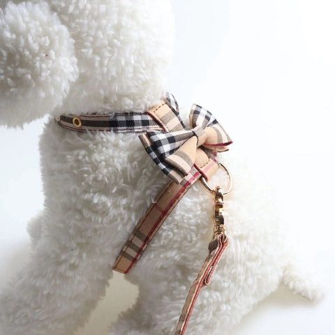 Furberry Bow Tie harness & Lead