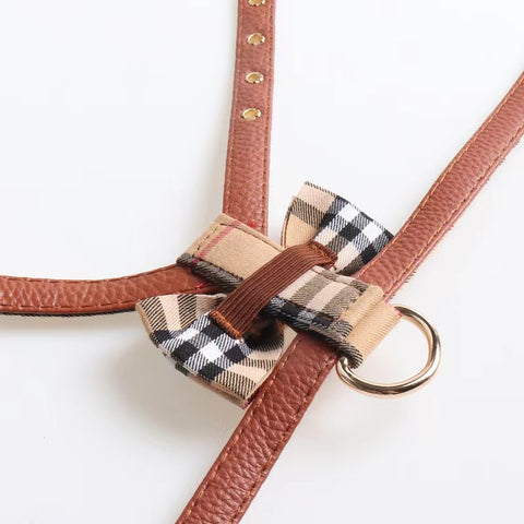 Furberry Bow Tie harness & Lead