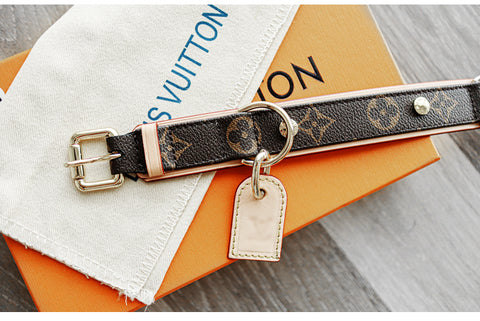 louis vuitton collar