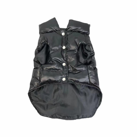 moncler dog gilet